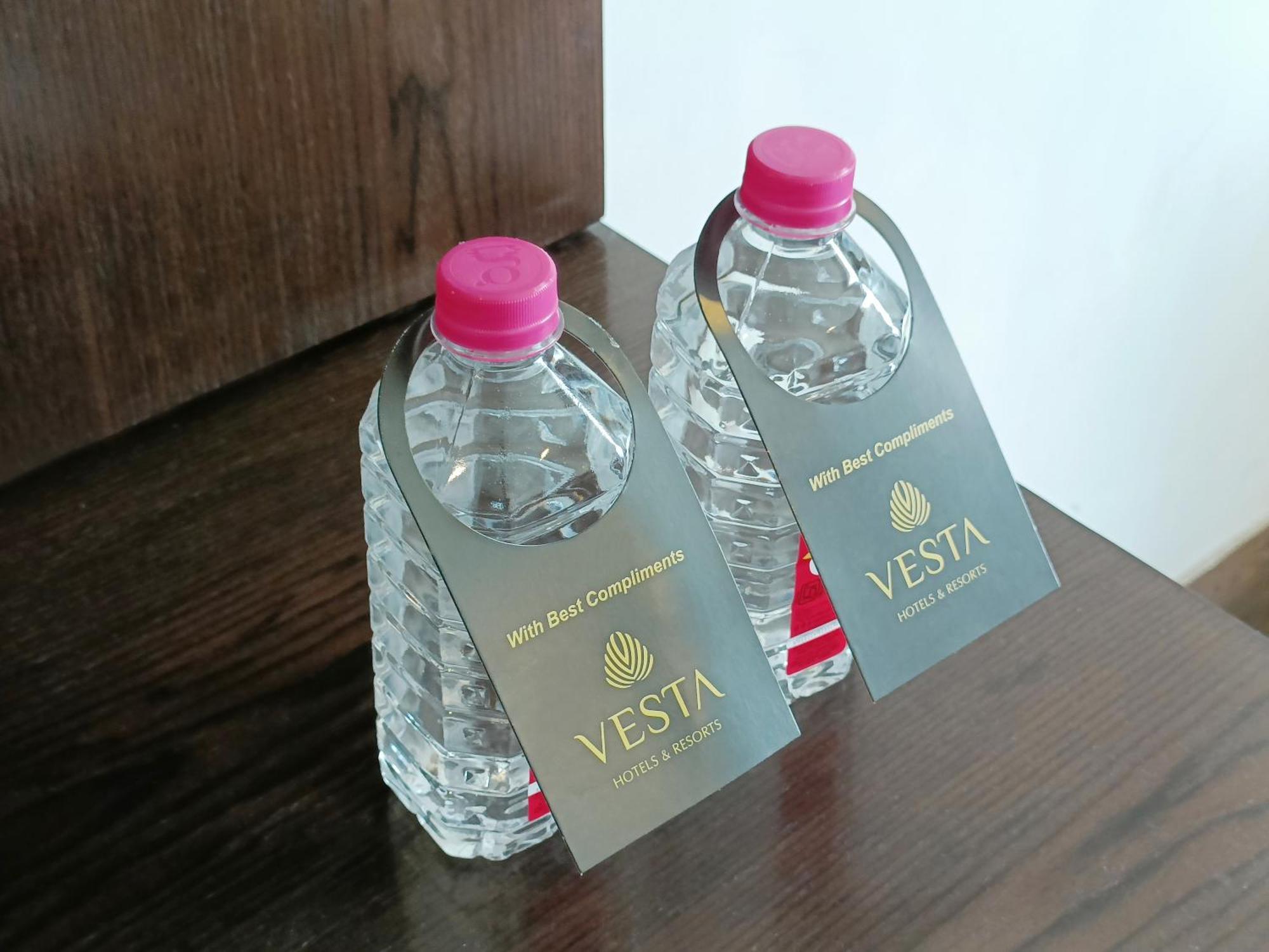 Vesta Grand Central Удайпур Екстериор снимка